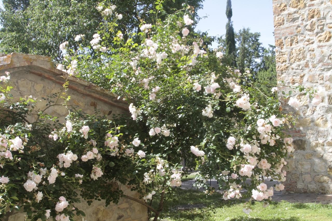 Villa I Pianelli Murlo Esterno foto